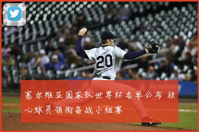 塞尔维亚国家队世界杯名单公布 核心球员领衔备战小组赛