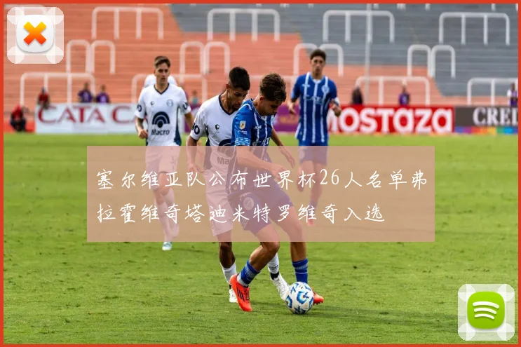 塞尔维亚队公布世界杯26人名单弗拉霍维奇塔迪米特罗维奇入选