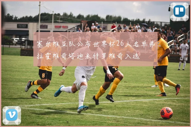 塞尔维亚队公布世界杯26人名单弗拉霍维奇塔迪米特罗维奇入选