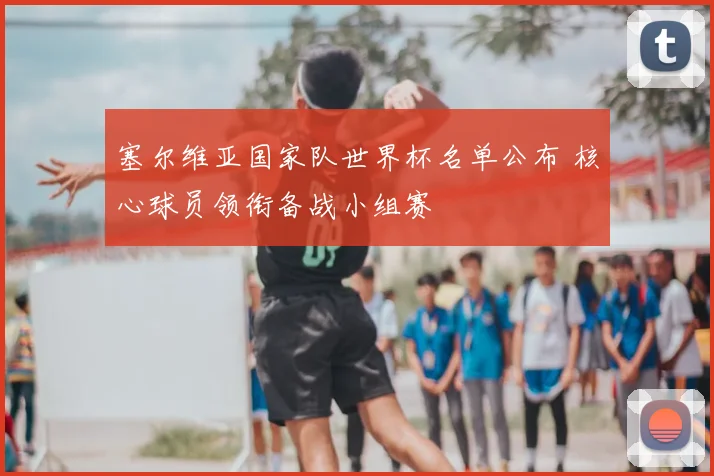 塞尔维亚国家队世界杯名单公布 核心球员领衔备战小组赛