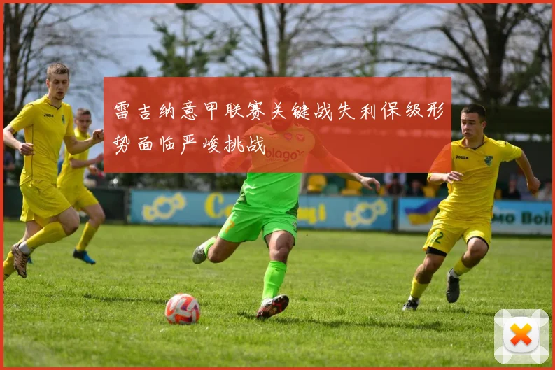 雷吉纳意甲联赛关键战失利保级形势面临严峻挑战